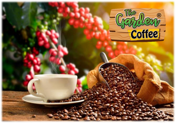 The Garden Coffee